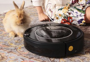 Elegir un robot aspirador para eliminar el pelo de las mascotas: un repaso a los mejores modelos de 2022