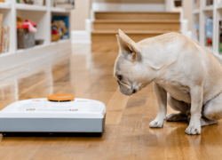 Robotų dulkių siurblių ir naminių gyvūnėlių suderinamumas