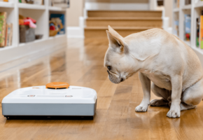 Compatibilidad de los robots aspiradores con las mascotas