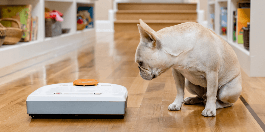 Aspirateur robot et photo de chien