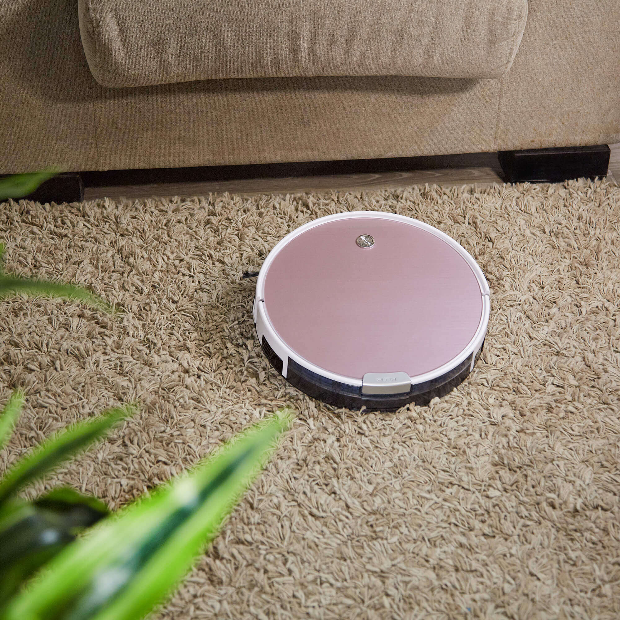 Kilimų valymas Kilimų valymas