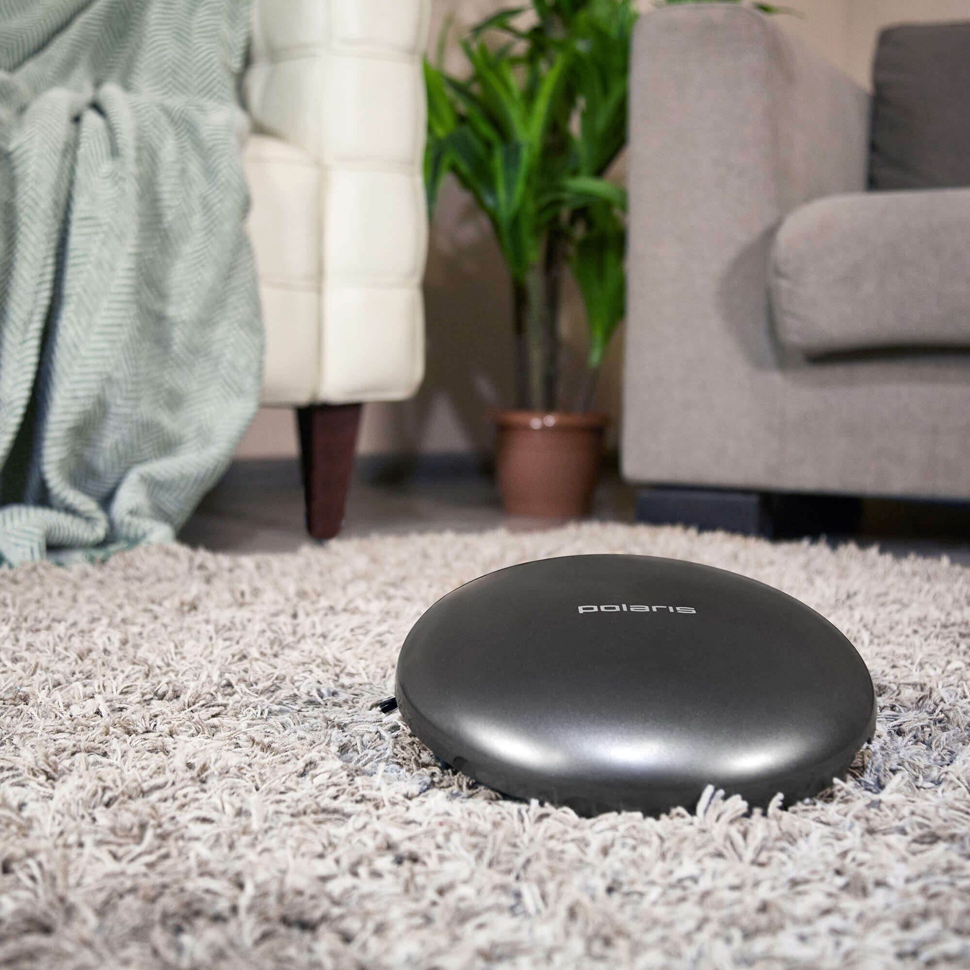 Kilimų valymas Kilimų valymas