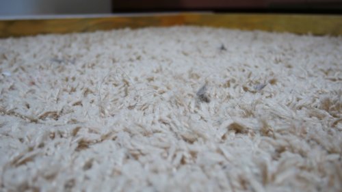 Kilimas prieš bandymą Kilimas prieš bandymą