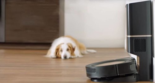 Roomba ir gyvūnai