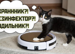 Ką dar gali robotiniai dulkių siurbliai? 3 neįprastos savybės