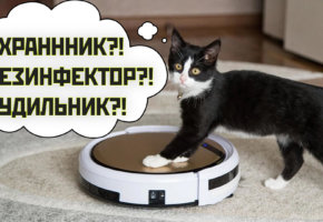 Ką dar gali robotiniai dulkių siurbliai? 3 neįprastos savybės