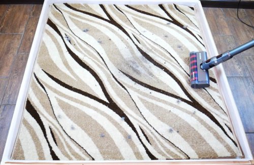 Limpieza de la alfombra