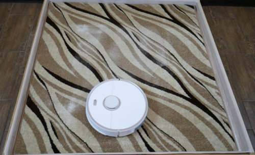 Roborock Carpet Cleaning