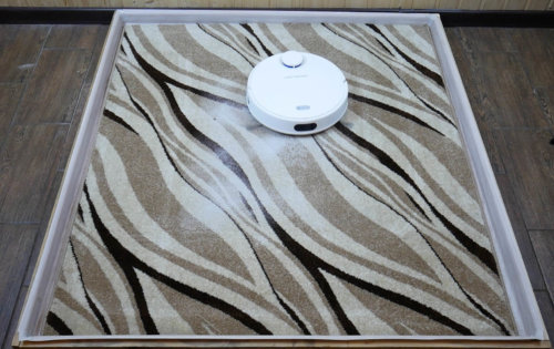 Cleaning the Liectroux carpet