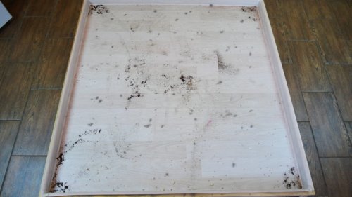 Atsistokite prieš išbandymą Atsistokite prieš išbandymą