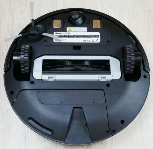 Vaizdas iš apačios su šerelių-žiedlapių šepečiu Vaizdas iš apačios su šerelių-žiedlapių šepečiu