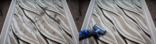 Calidad de la limpieza de alfombras