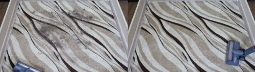 Calidad de la limpieza de alfombras