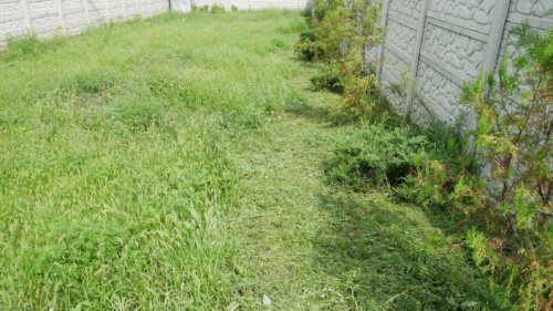 Nupjauta vieta laidų tiesimui