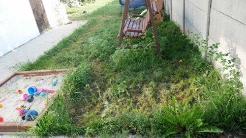 Pradinė žaidimų aikštelės būklė