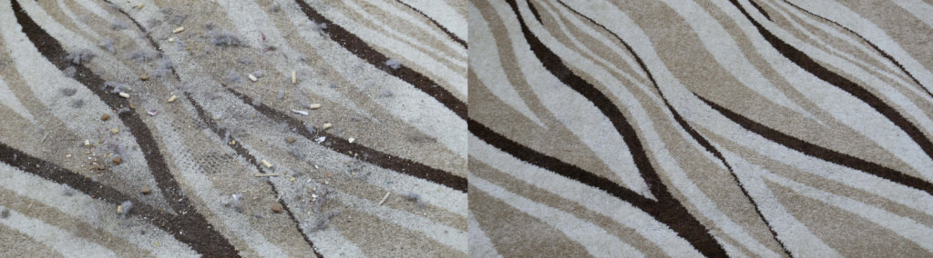 X-Plorer 95 kilimų valymas