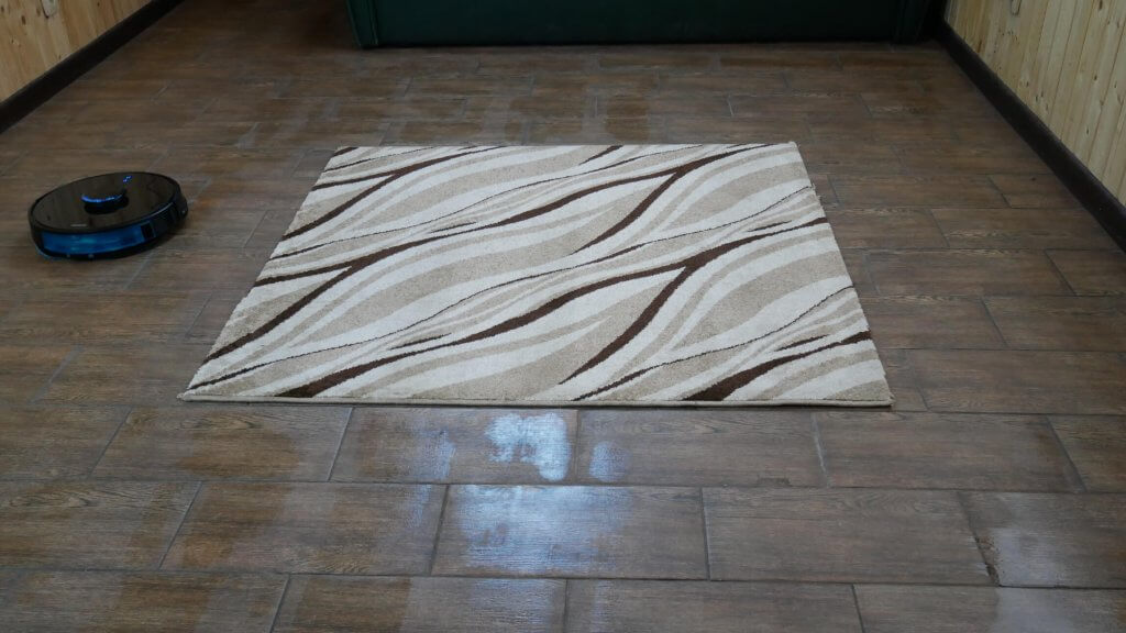 Šlapias valymas ir kilimai