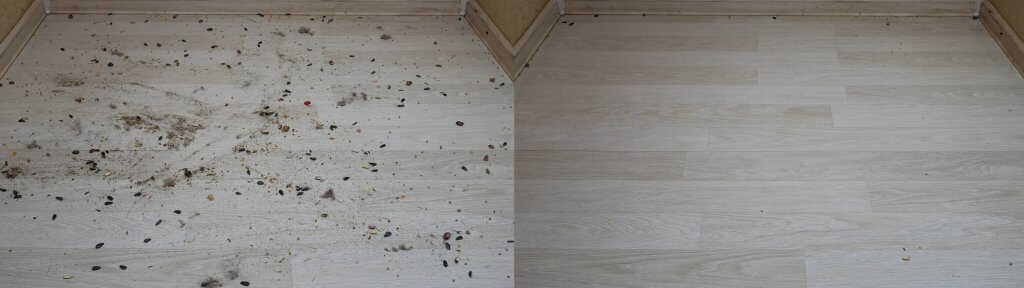 Šiukšlių surinkimas ant laminato grindų