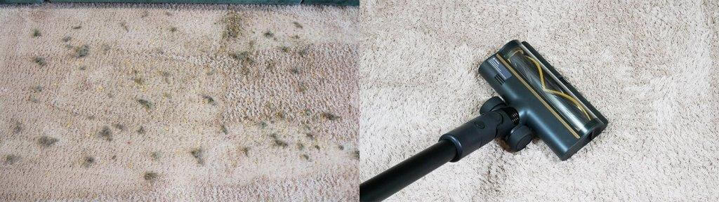 Dreame R10 Pro: kilimų valymas