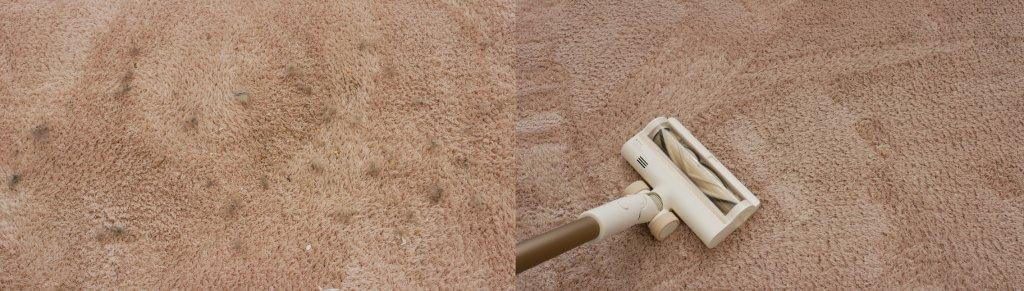 Dreame R10: Limpieza de alfombras