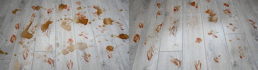 Roborock Q Revo: sunkiai šalina dėmes