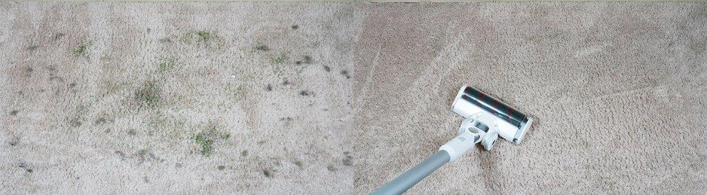 רוידמי M10: ניקוי שטיחים