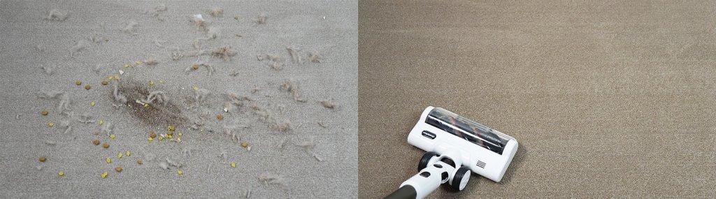 „Clever&Clean HV-550 Pro“: kilimų valymas