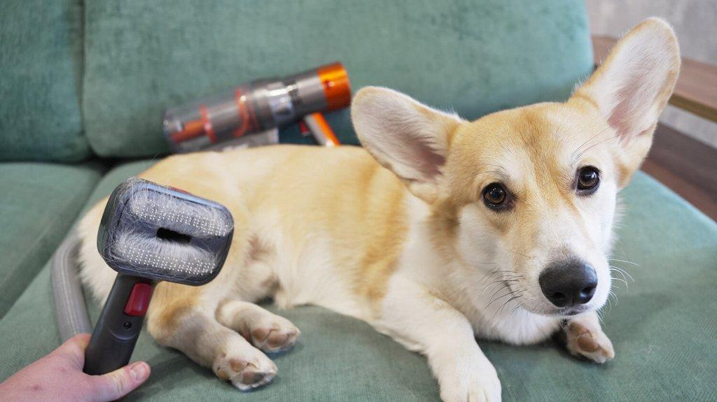 JENXY M1: Aspirando el cabello