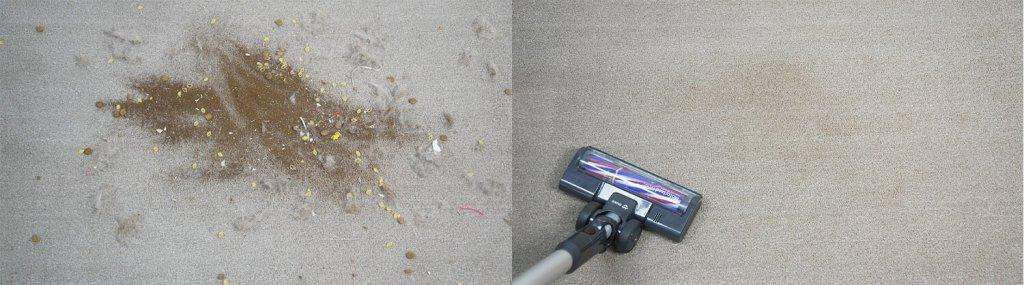 MIKO V10: Limpieza de alfombras