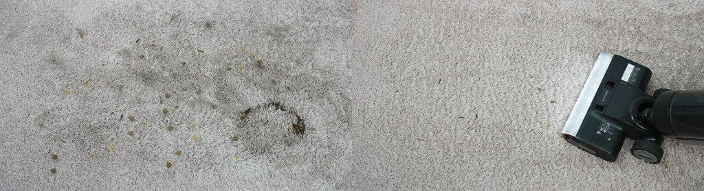 „Dreame H13 Pro“: vidutinio plauko kilimų valymas