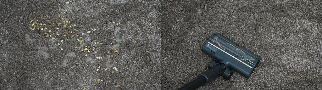 Dreame R10 Pro Aqua: vidutinio plauko kilimų valymas