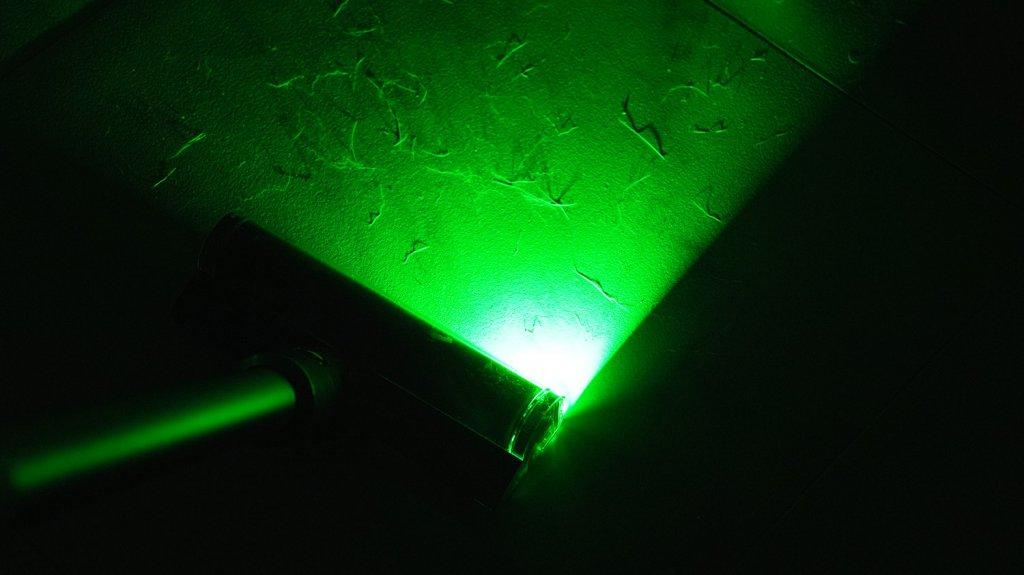 Dyson Gen5 Detect Absolute: Luz de zona de limpieza