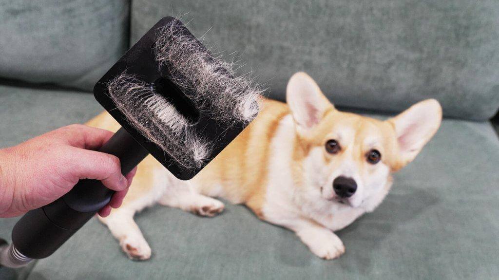 Estación Deerma DEM-T50W: Depilación