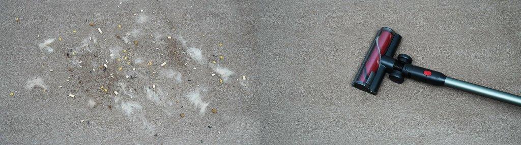 „Roborock Dyad Pro Combo“: trumpų kilimų valymas