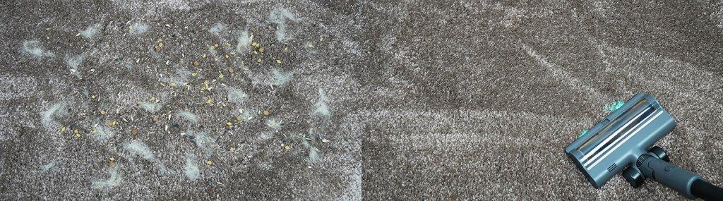 Dreame R20 Aqua: Kilimų valymas