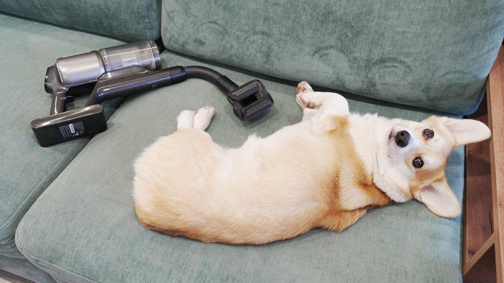 Dreame Z40 Station: naminių gyvūnėlių priežiūra