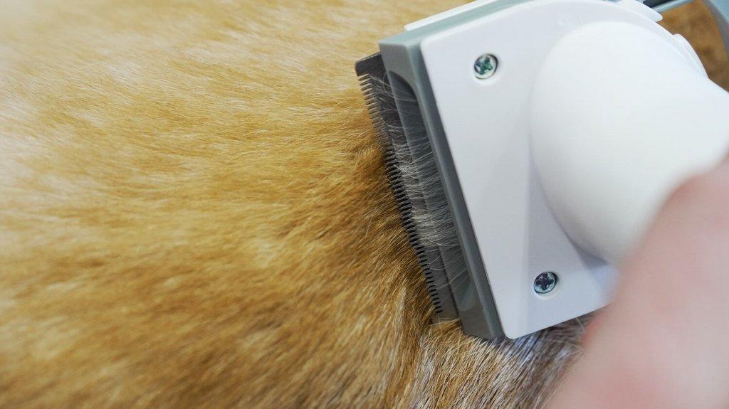 Genio Pet i50: Thinning Attachment