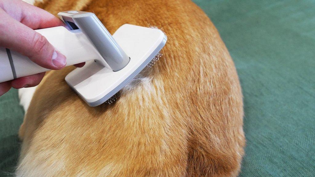 Genio Pet i50: Hair removal
