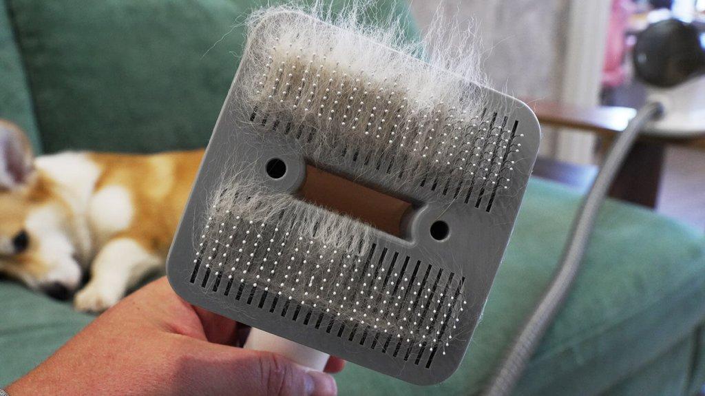 Genio Pet i50: Pet grooming attachment