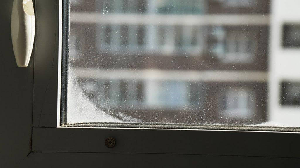 JENXY RC78: Akloji zona kampuose