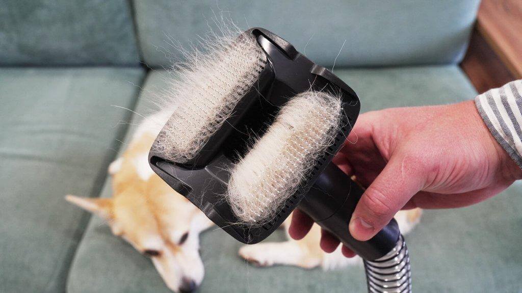 Dreame Z30 AquaCycle: naminių gyvūnėlių priežiūros priedas