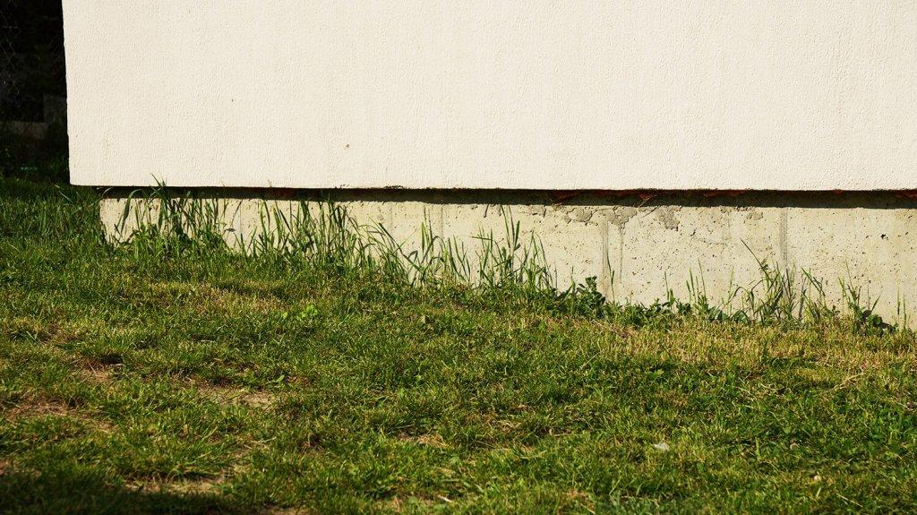 „Dreame Robotic Mower A1“: akloji zona palei sklypų ribas