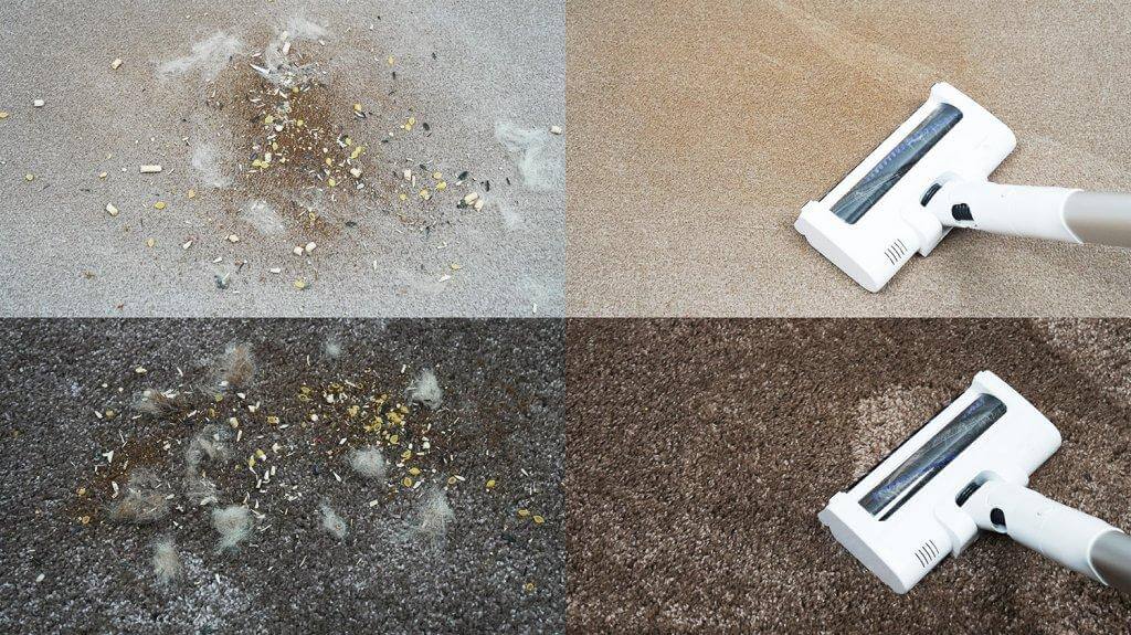 EVOLUTION Smart Clean VCF2613UV Limpieza de alfombras en seco y húmedo