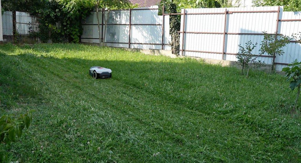 Anthbot Genie 1000: Cortar el césped