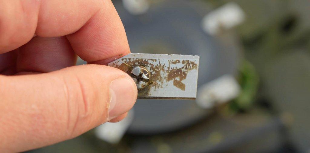 Anthbot Genie 1000: Estado del cuchillo