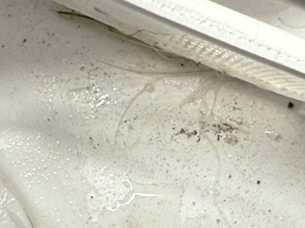 „Xiaomi Mijia M40s“ (OV21CNRD): Pirmieji nešvarumų sankaupų taškai