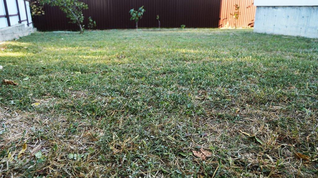 „Robokos RM600i“: ploto būklė po pjovimo