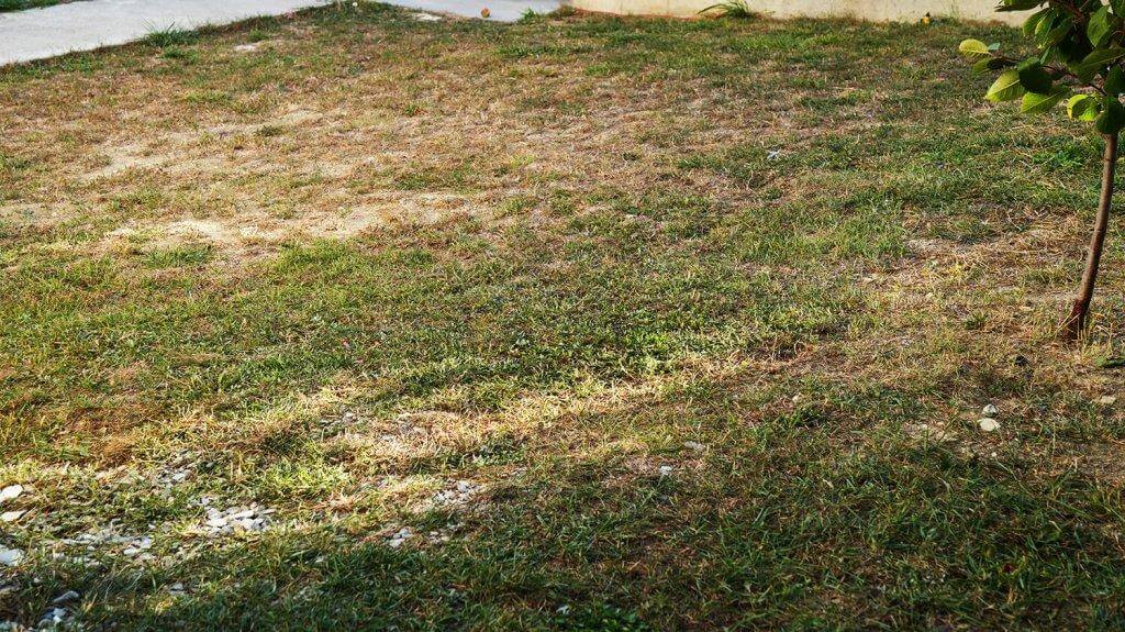 „Robokos RM600i“: ploto būklė po pjovimo