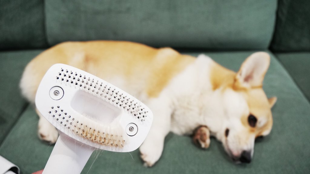 „Polaris PVCSDC 3000 Wi-Fi IQ Home“: plaukų šepečio antgalis naudojamas